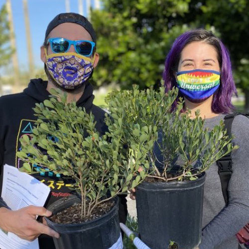 Arbor Day